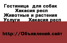 Гостиница  для собак - Хакасия респ. Животные и растения » Услуги   . Хакасия респ.